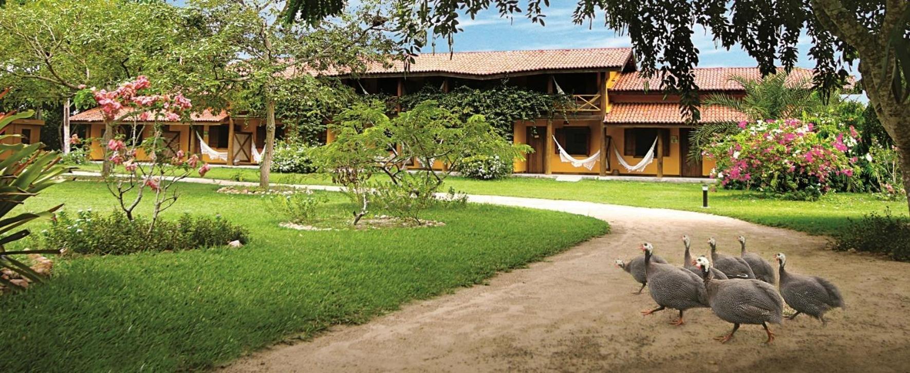 Fazenda Hotel Candeal Conceicao de Jacuipe Exterior photo